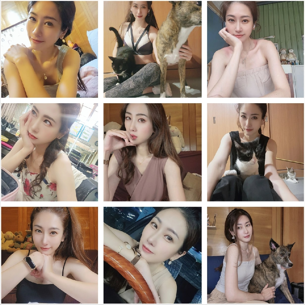 (编号AS11)  #台湾 女子 生活 养猫狗 日常911张照片视频23个 《视频比较长》