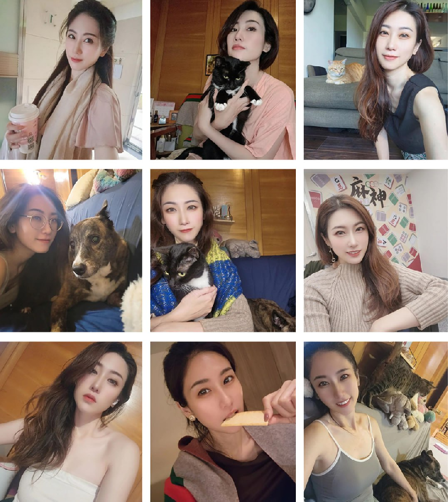 (编号sk219)  #台湾 美女 日常 生活 养 猫狗 自拍多1611张照片视频47个《合适虚拟视频》