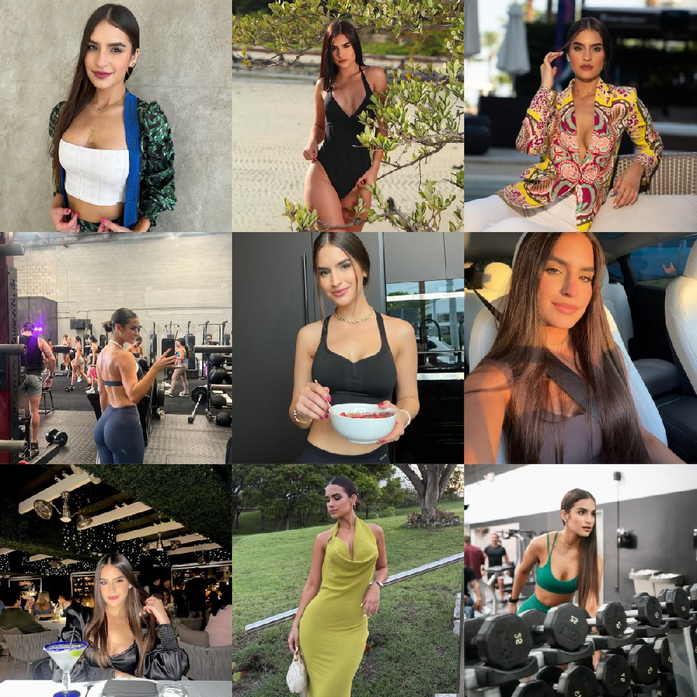 编号AC199 自拍🌟🌟🌟🌟 #美国 居家 健身 游艇  生活场景丰富  旅游 风景 生活日常  照片912张  视频260个 （带IG）