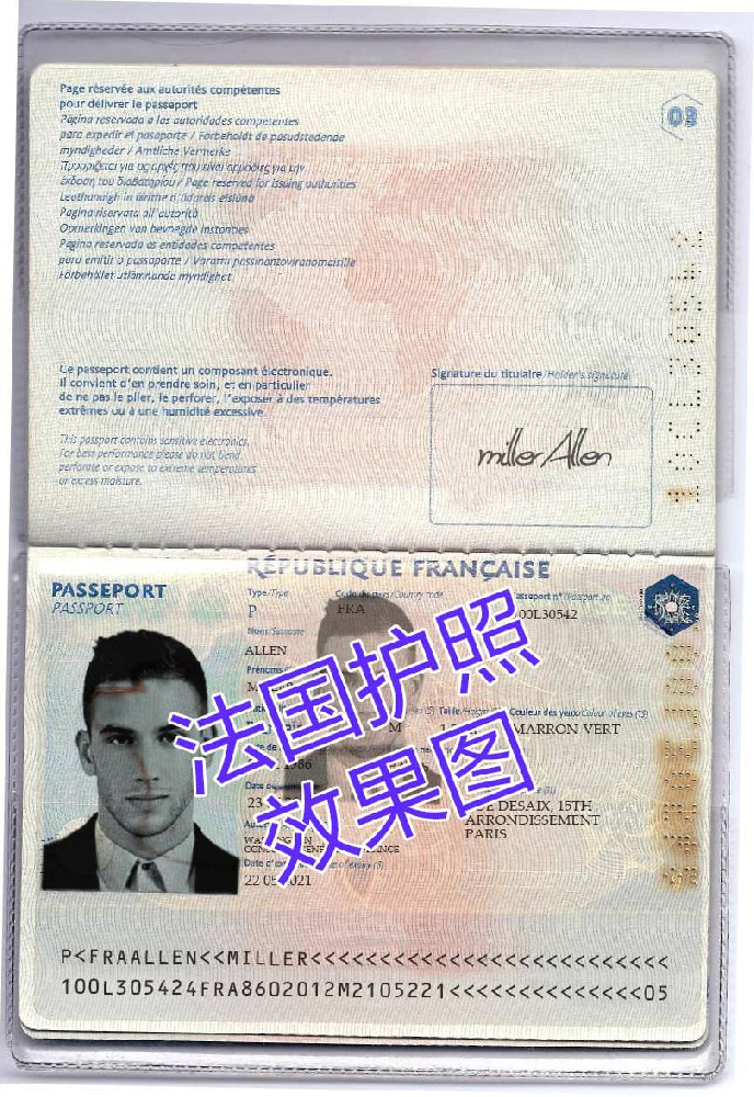 法国证件 / 护照 / ID  / 驾驶证  - 效果图