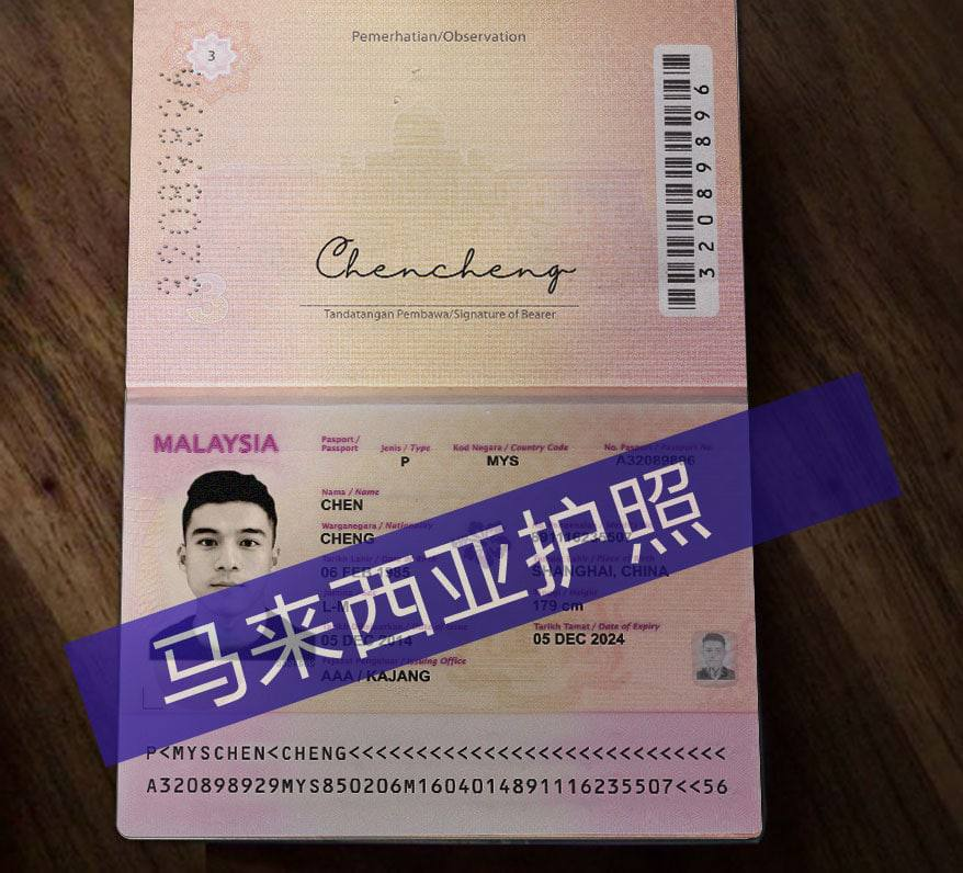 马来西亚证件/ 身份证/护照/ PS效果图