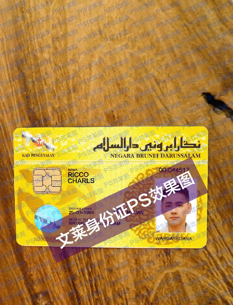 文莱证件/身份证/护照-效果图