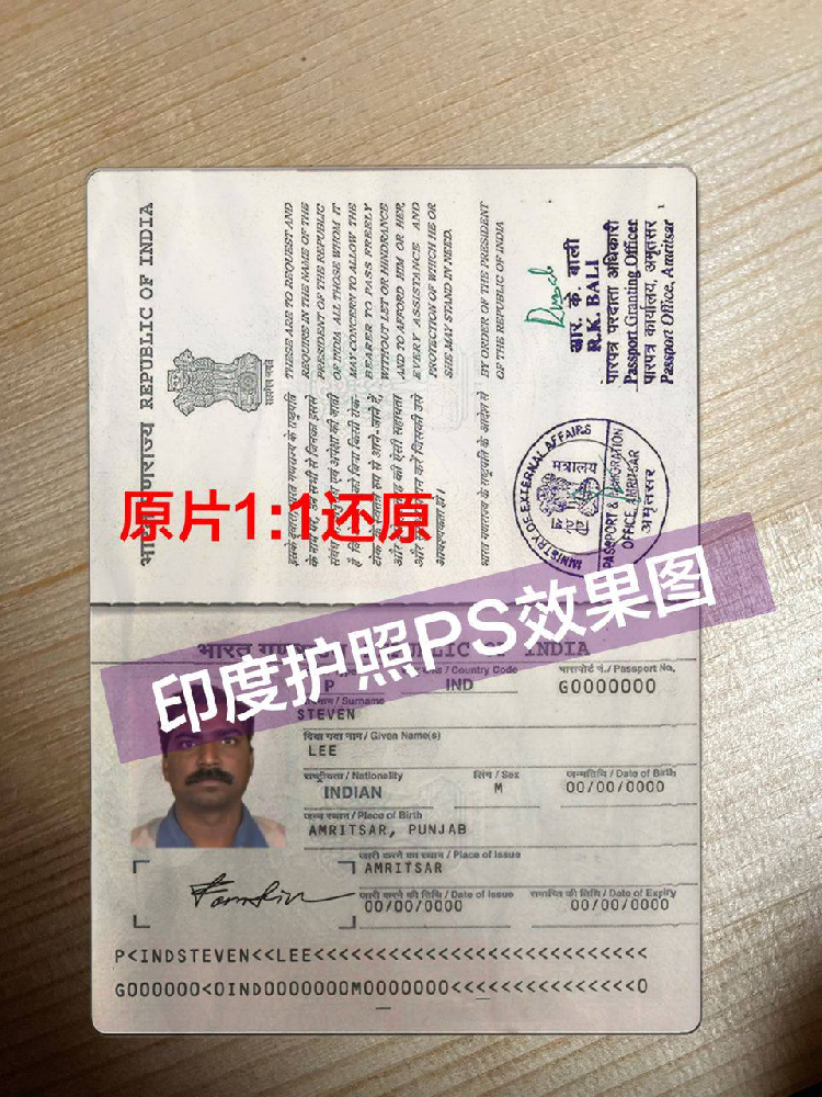 印度证件/护照/ PS效果图